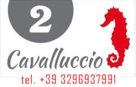 Mar&Sol Hotel Termoli Exterior photo